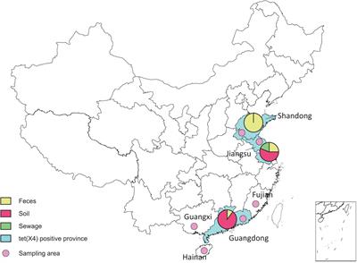 Prevalence of tet(X4) in Escherichia coli From Duck Farms in Southeast China